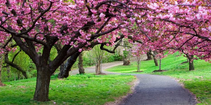 2560x1600 Spring Wallpapers HD download free