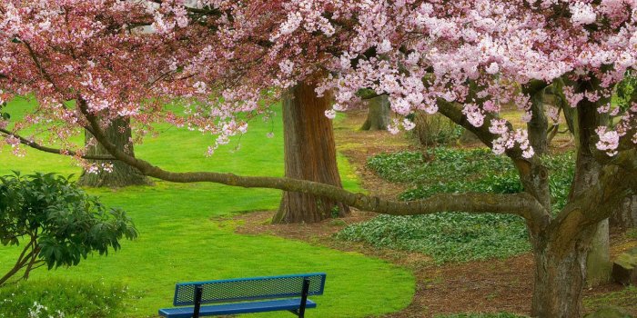 1440x900 Spring Nature Wallpapers High Resolution HD Wallpaper, Background Images