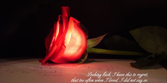 1024x768 73+] Love And Funny Wallpaper on WallpaperSafari