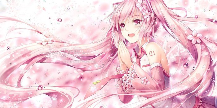 1280x800 Sakura Miku Wallpapers