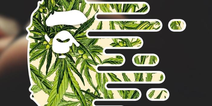 1080x1920 50+ Bathing Ape Wallpapers on WallpaperPlay