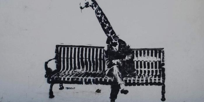 1680x1050 Free download weird crazy absurd type wallpaper for wallpaper n