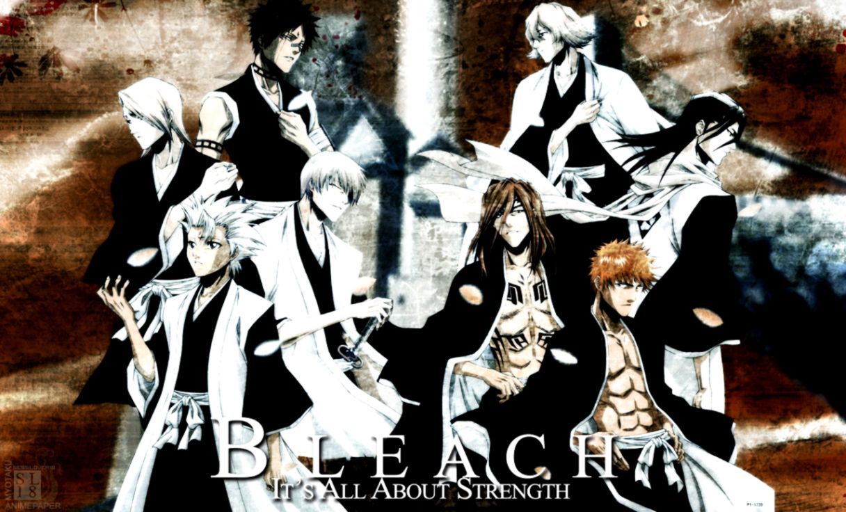 1216x736 Bleach Captain Wallpaper Hd | Opera Wallpapers