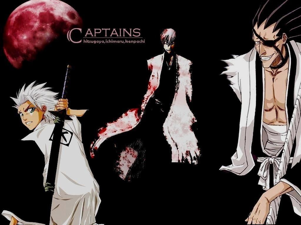 1024x768 HD wallpaper: Bleach Seretie Captain folder icon, Kenpachi, Unohana
