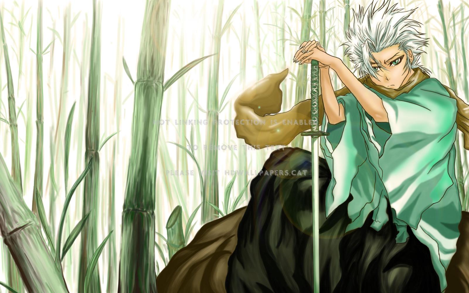 2560x1600 tōshirō hitsugaya anime bleach captain