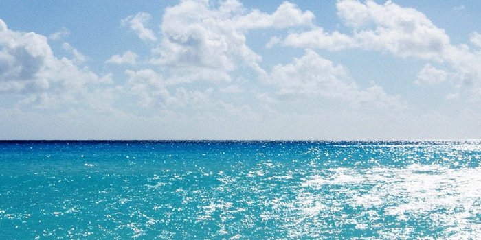 1242x2208 Ocean wallpapers for iPhone and iPad