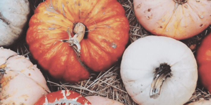 750x1334 calculture #calcultureblog #calculturevideos #calranchstores