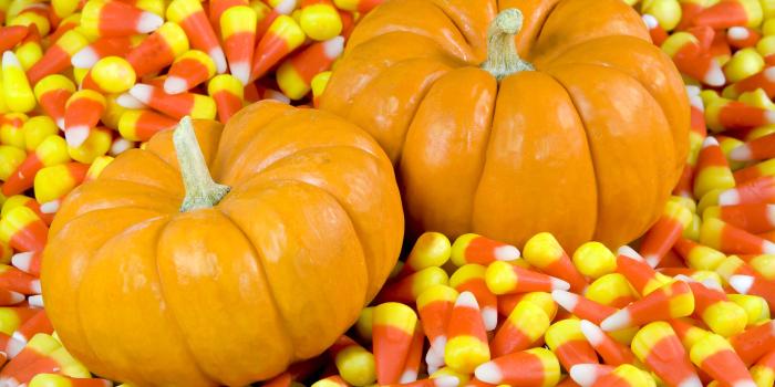 3888x2592 43+] Fall Wallpaper Backgrounds with Pumpkins on WallpaperSafari