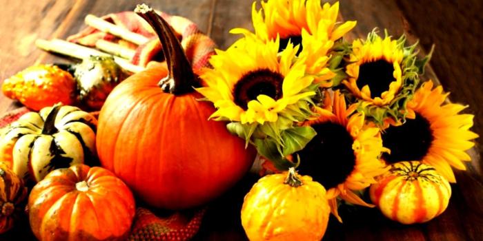 1436x878 Fall Pumpkin Wallpaper Hd | Amazing Wallpapers