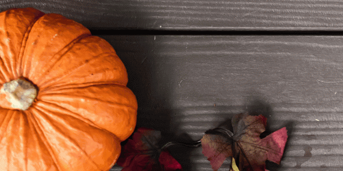 1242x2688 Pumpkin wallpapers for iPhone: download them now!