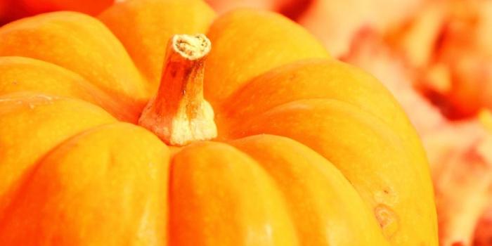 1080x1920 Fall Pumpkin Wallpaper And Screensavers (36+ images) on Genchi.info