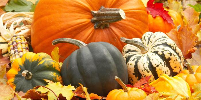 2048x1242 Fall Harvest Wallpapers (56+ background pictures)