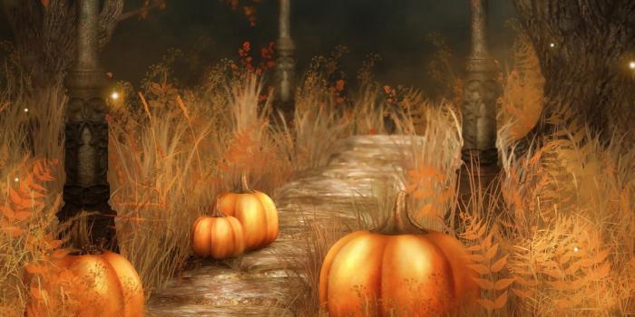 1920x1080 Pumpkins Wallpapers for Desktop (55+ pictures)