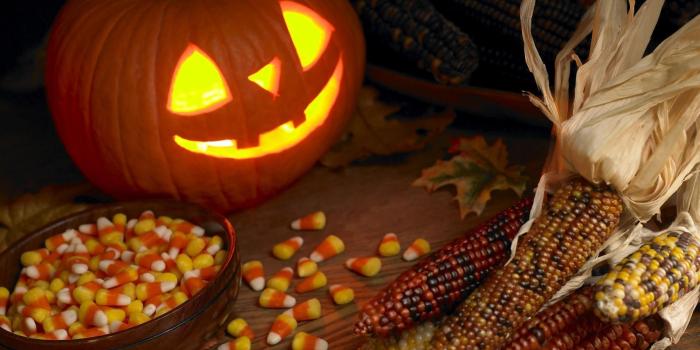 1920x1080 Fall Pumpkin Wallpaper For Desktop (82+ images in Collection) Page 2