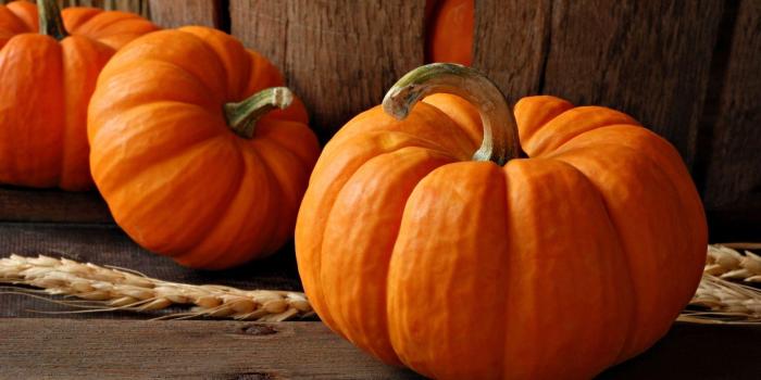 1920x1080 Best 55+ Pumpkin Backgrounds on HipWallpaper | Pumpkin Wallpaper