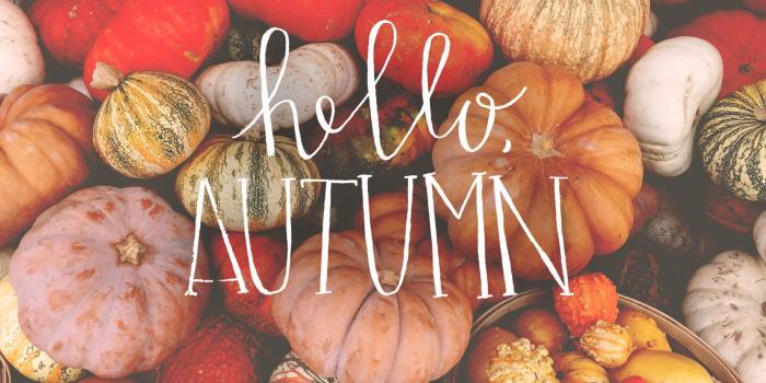 1856x1161 cool Hello, Autumn | backgrounds in 2019 | Fall wallpaper, Fall