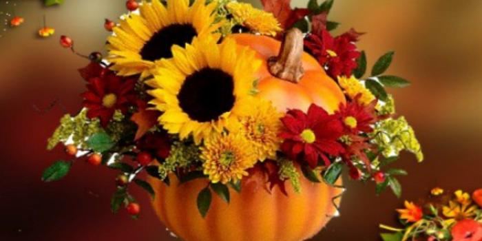 1280x1024 Fall Flowers Wallpaper Iphone Fall Flowers Wallpapers Celebrate