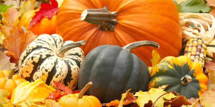 2048x1242 Fall Pumpkin Wallpapers - Top Free Fall Pumpkin Backgrounds