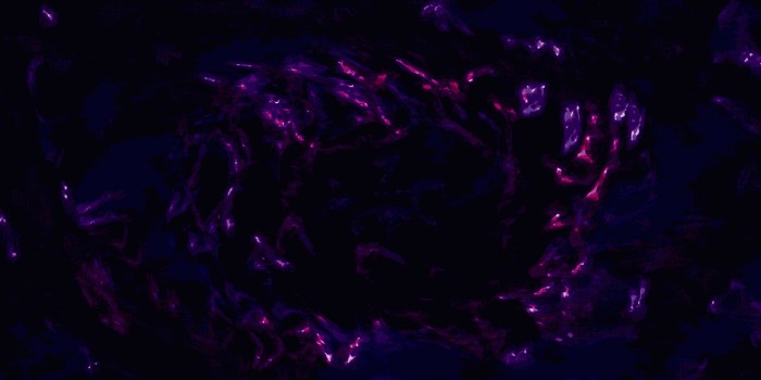 1920x1080 Abstract Purple Assault Wallpaper | Wallpaper