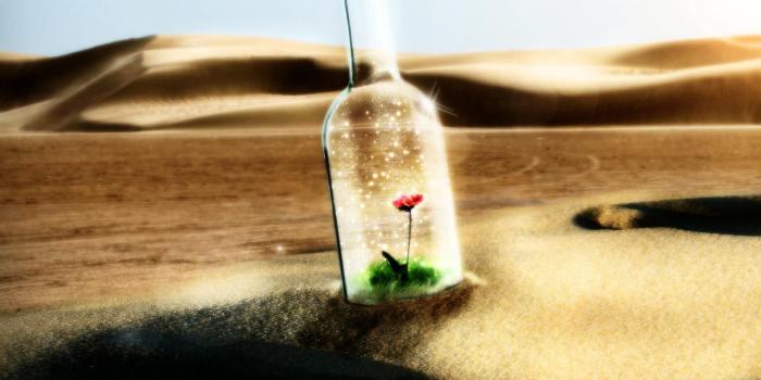 1920x1200 Bottle Flowers, Landscapes, Dunes, Cg, Desert, Glass, Art, Best