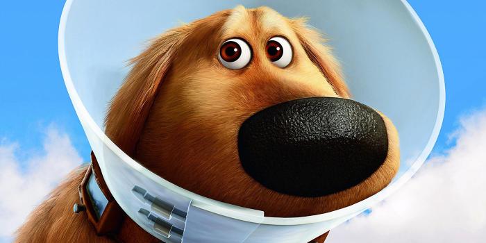 1920x1080 Up The Animated Movie HD Wallpapers - All HD Wallpapers