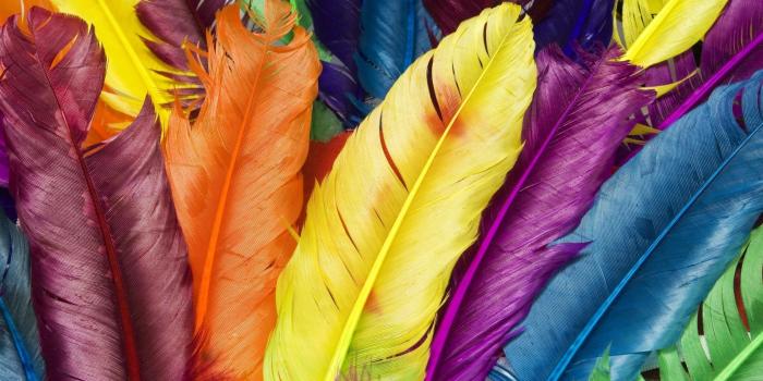 2560x1600 50+ Colorful Laptop Wallpapers - Download at WallpaperBro