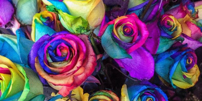 1366x768 Download wallpaper 1366x768 roses, colorful, bouquet, colourful