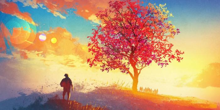 1366x768 Download 1366x768 Wallpaper Colorful Artwork Of Tree, Landscape