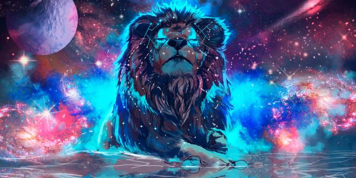 4496x2776 1360x768 Lion 4k Artistic Colorful Laptop HD HD 4k Wallpapers