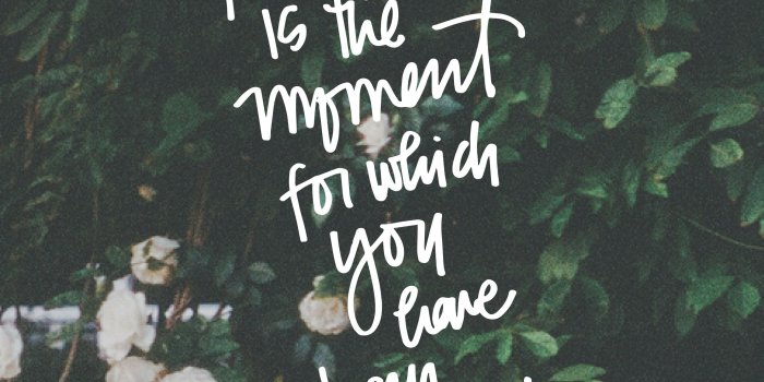 2667x4733 Bible Quotes Wallpapers - Top Free Bible Quotes Backgrounds
