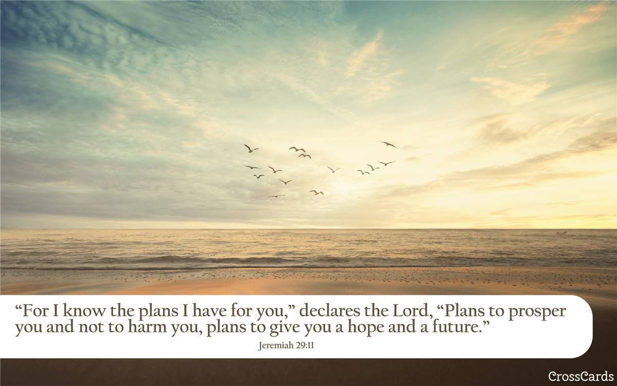 1200x750 Bible Verse Phone Wallpaper - Free Christian Scripture Backgrounds