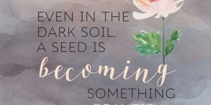 1242x2208 70+ Christian Quotes Wallpapers on WallpaperPlay