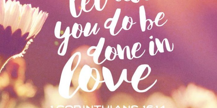 736x1292 Bible verses wallpapers - SF Wallpaper