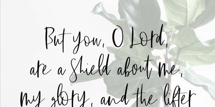 1080x1920 Shirley Baker Humberson on likey | Bible verse wallpaper