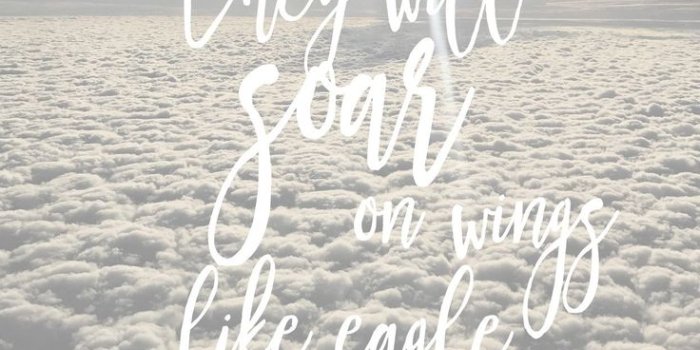 736x1209 Bible Quotes Wallpaper Free 4g9tgtw 95 Kb Wallimpex - Inspiring