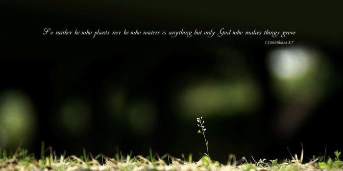 1024x768 Bible Quotes Wallpapers Desktop on MarkInternational.info