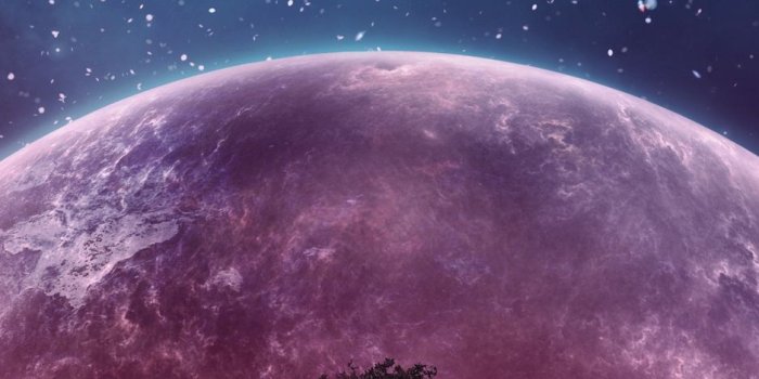 938x1668 Download wallpaper 938x1668 tree, planet, stars, galaxy, art iphone