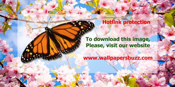 2880x1800 Bright spring colors HD Wallpaper