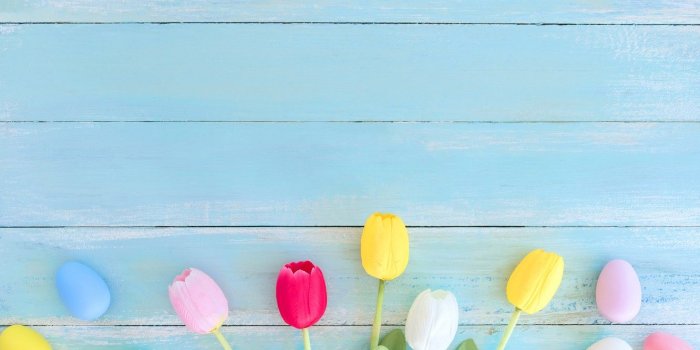 1332x850 Wallpaper flowers, eggs, spring, colorful, Easter, tulips, wood