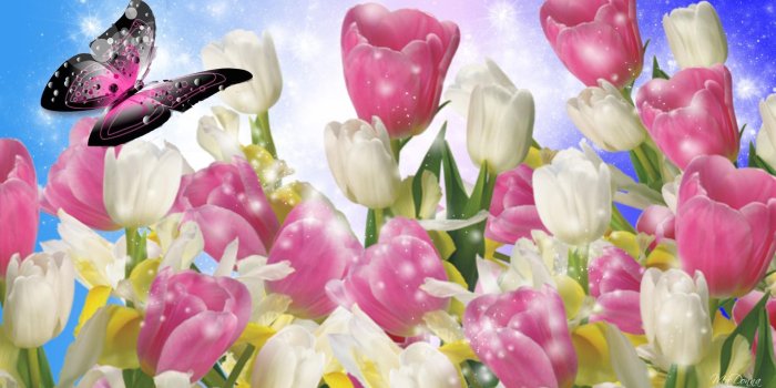 1920x1080 Burst Of Spring Colors HD desktop wallpaper : Widescreen : High