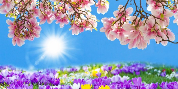 2950x2230 Pictures,free, Is, Spring Wallpapers, Coming, Road, Colors, Flower