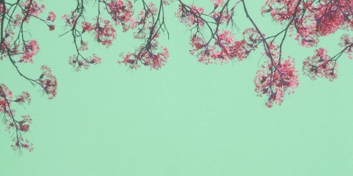 1024x768 Free Spring colors Stock Photo - FreeImages.com