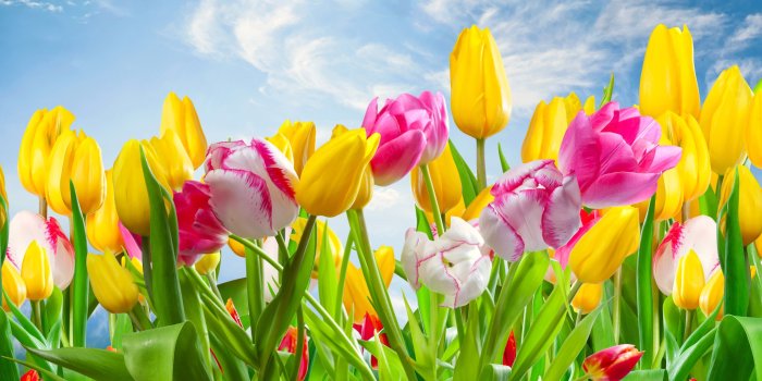4000x3000 45+ Sunshine Spring Landscape Wallpapers - Download at WallpaperBro