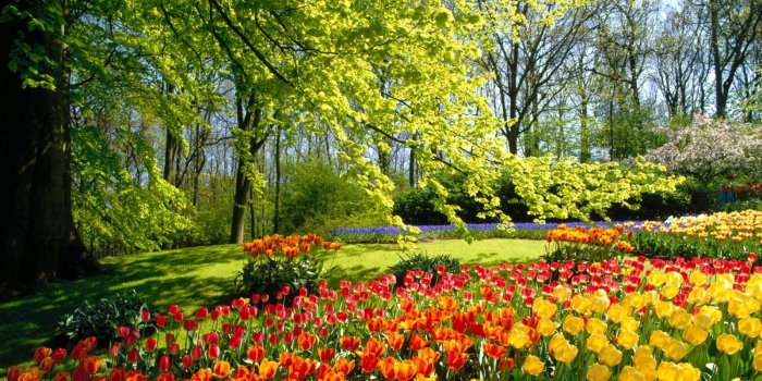 1600x1200 Download desktop wallpaper The bright colors of spring - flower