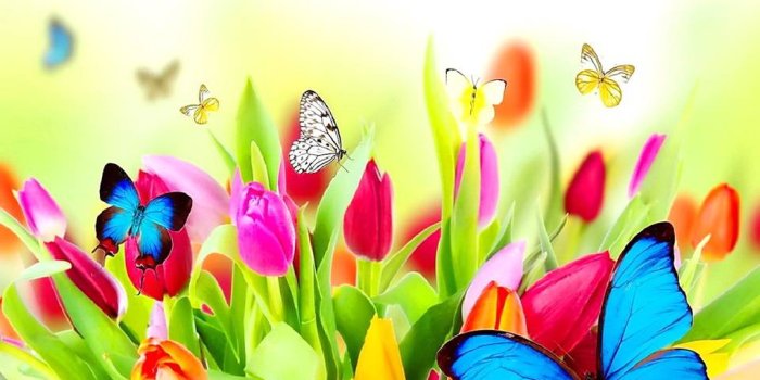 960x854 Spring Colors Wallpaper by _MARIKA_ - 68 - Free on ZEDGE™