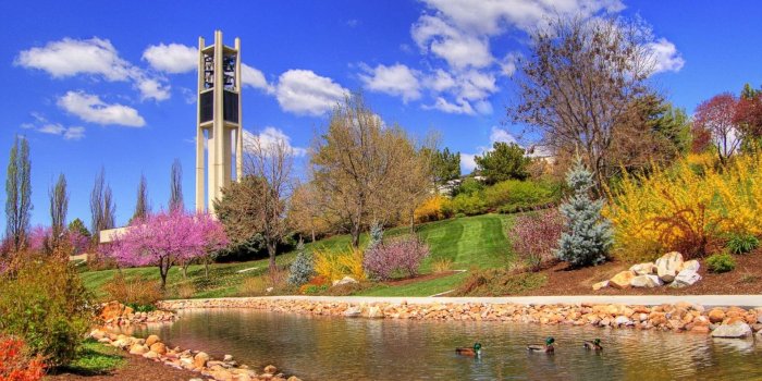 1920x1200 Colorful Spring HD Wallpaper