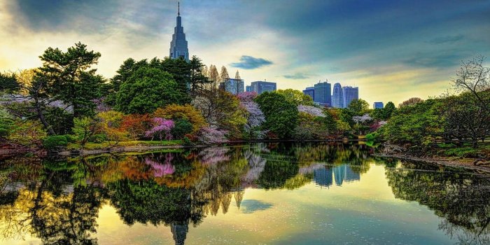 1200x800 Lakes: Urban Skyscrapers Blossom Beautiful Tokyo Lake Trees