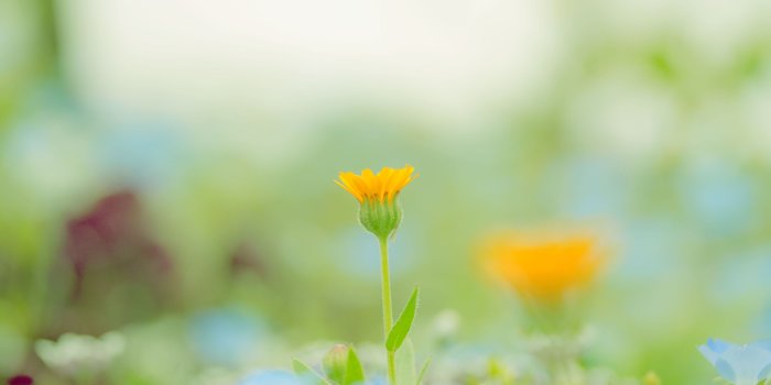 3840x2400 Download 4K Ultra HD 16:10 3840x2400 - Background, Blurred, Close Up