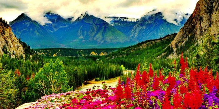 1616x1212 Sky Mounatins Nature Flowers Combinations Green Colors Flower