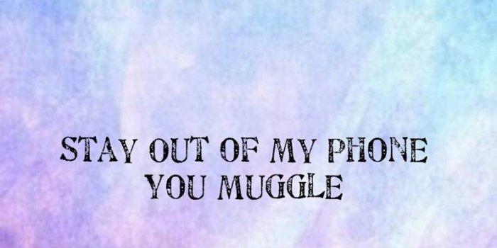 789x1280 Muggle Saying Wallpaper by palmtree443 - 38 - Free on ZEDGE™